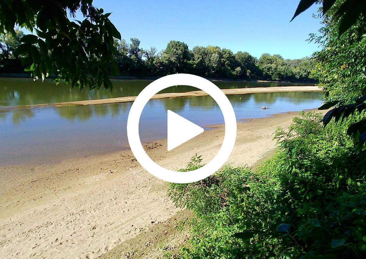 Rekordalacsony a Tisza vízszintje Szolnoknál – a Greenpeace time-lapse videón mutatja be a folyó apadását