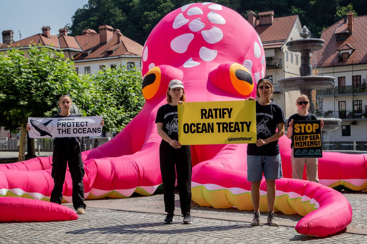 Giant Octopus in Ljubljana Calls for Ocean Protection. © Greenpeace / Petra Godeša © Greenpeace / Petra Godeša