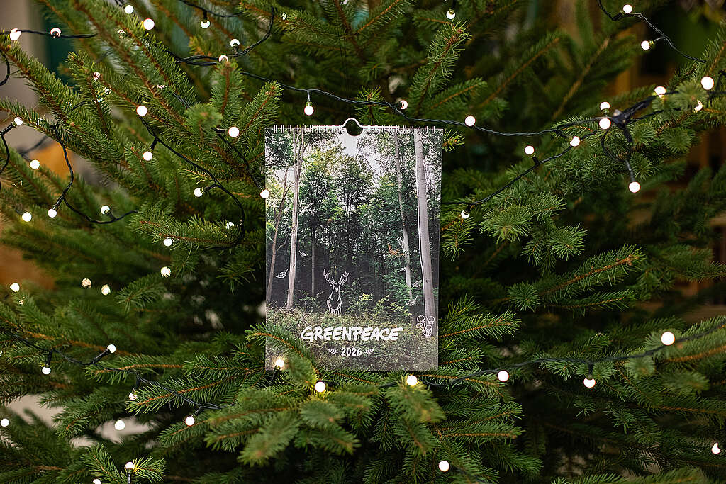 Greenpeace naptár 2026 Greenpeace naptár 2026