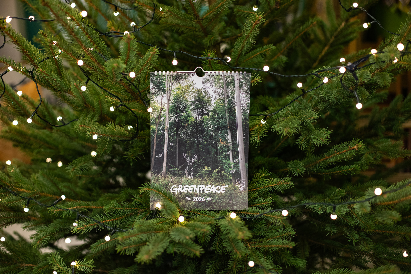 Greenpeace-s ajándék az idei karácsonyra? Naná!