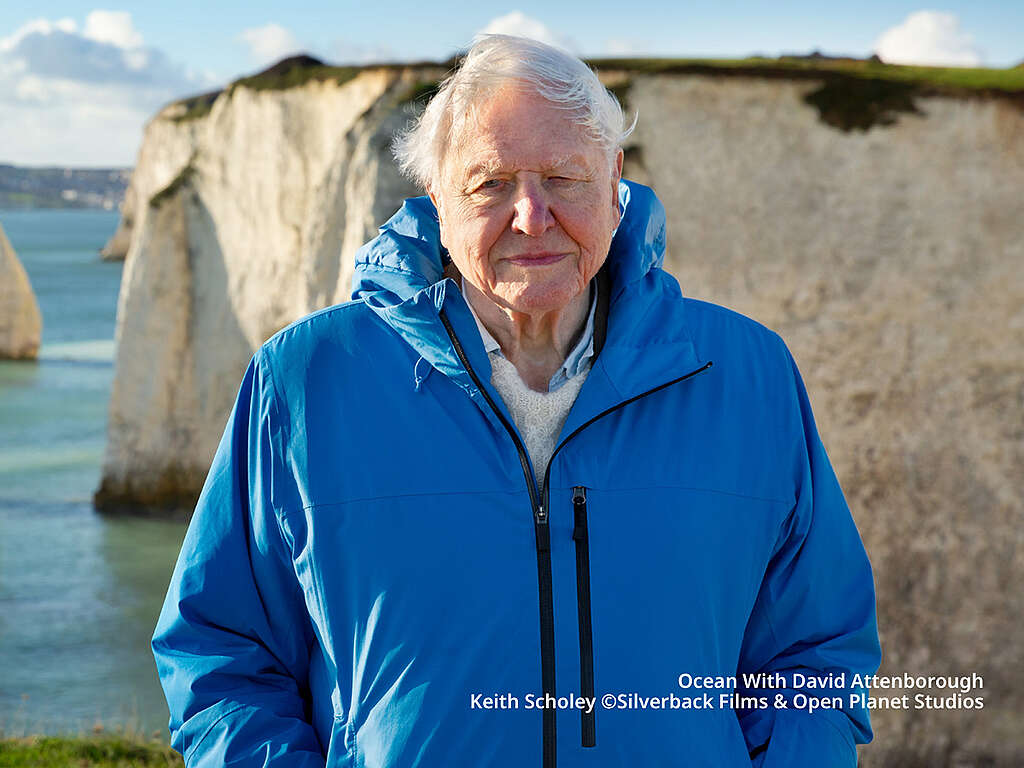 Mit tanultunk David Attenborough filmjéből, Az óceán csodájából Mit tanultunk David Attenborough filmjéből, Az óceán csodájából