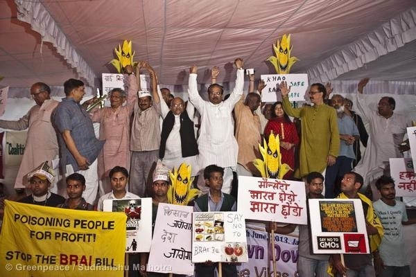 Various organisations including Greenpeace India launched a nation-wide campaign on June 25 demanding that the BRAI Bill, 2013, be withdrawn immediately