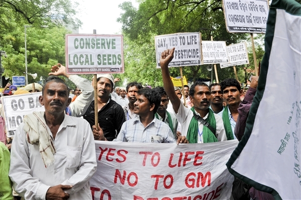 Over 2,000 people came together on August 8 for a day-long protest against the BRAI bill and Monsanto.