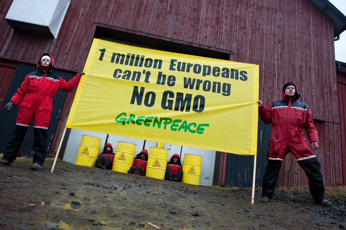Greenpeace Blockade GMO Storage Facility in Northern Sweden. © Christian Åslund