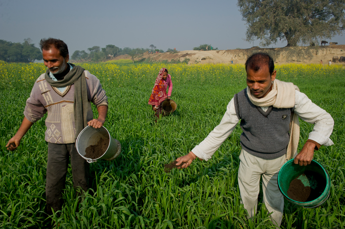 Organic Fertilizer in Bihar. © Karan Vaid