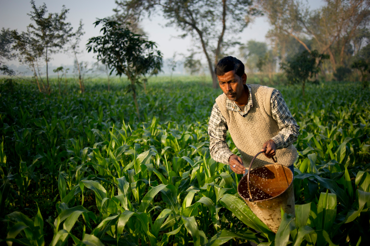 Farmer in Bihar. © Karan Vaid