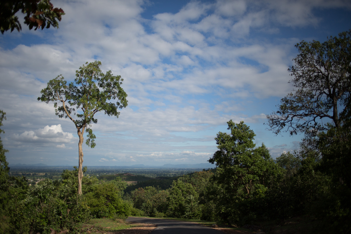 A View of Mahan Forests