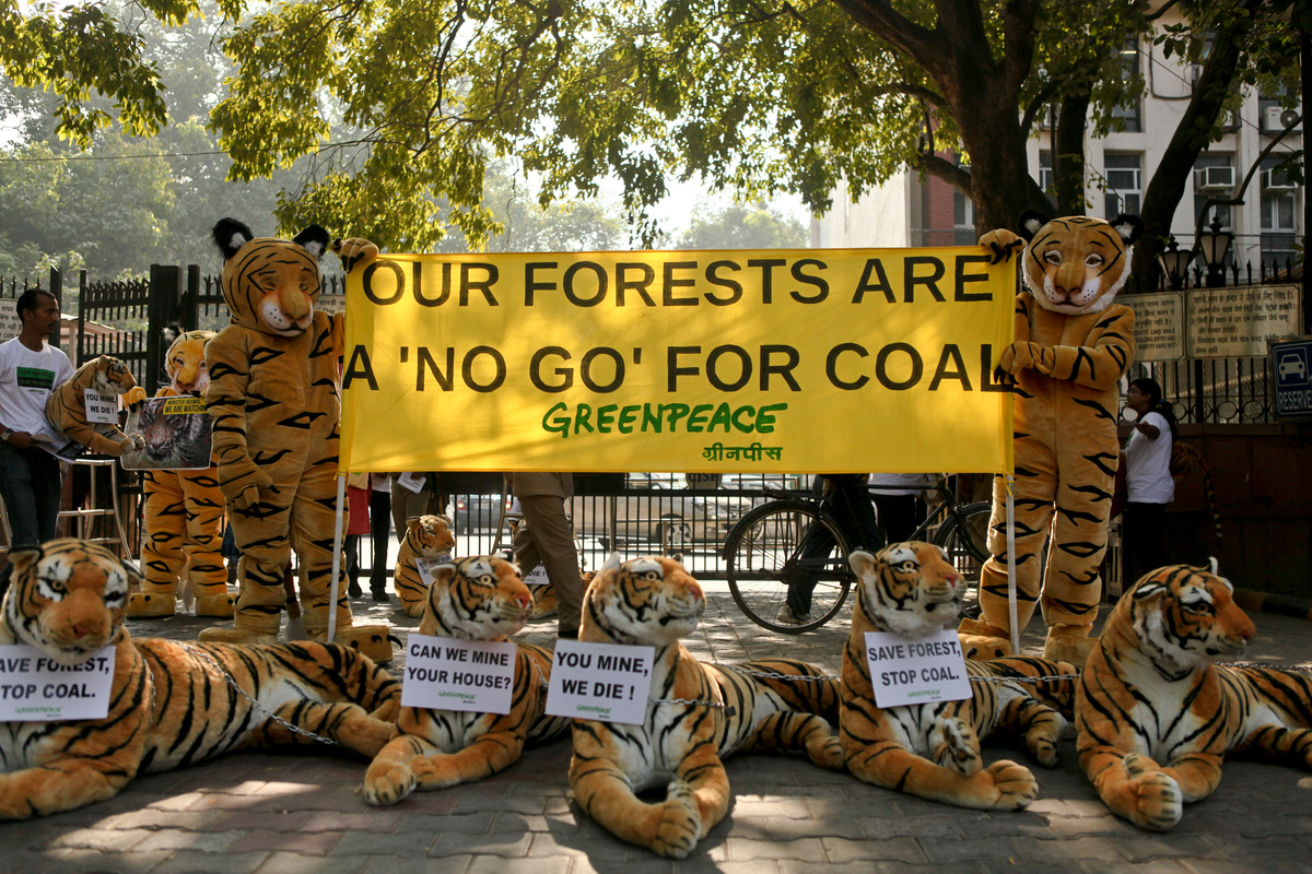 Tiger Action at Coal Ministry in India. © Sudhanshu Malhotra