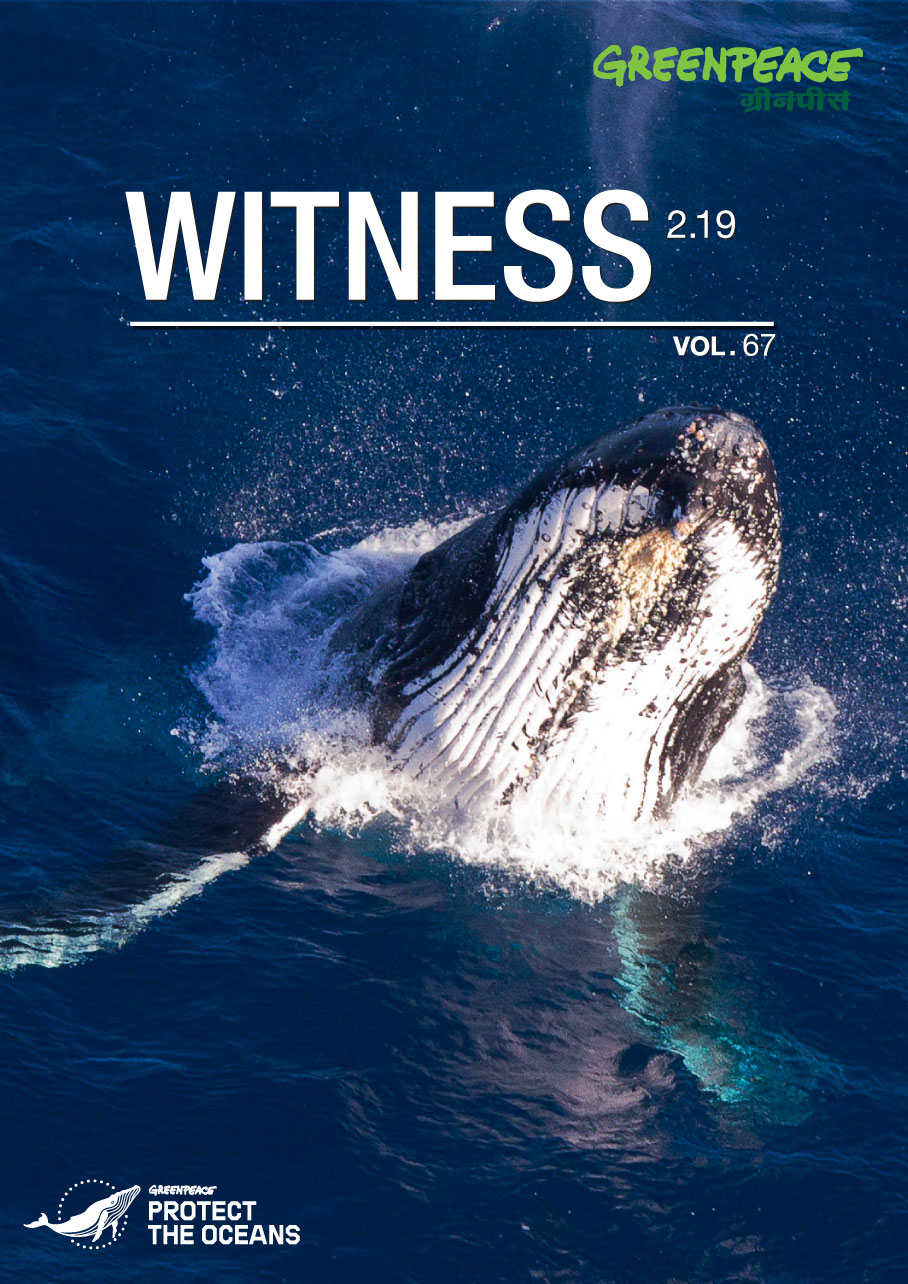 Witness 2.19
