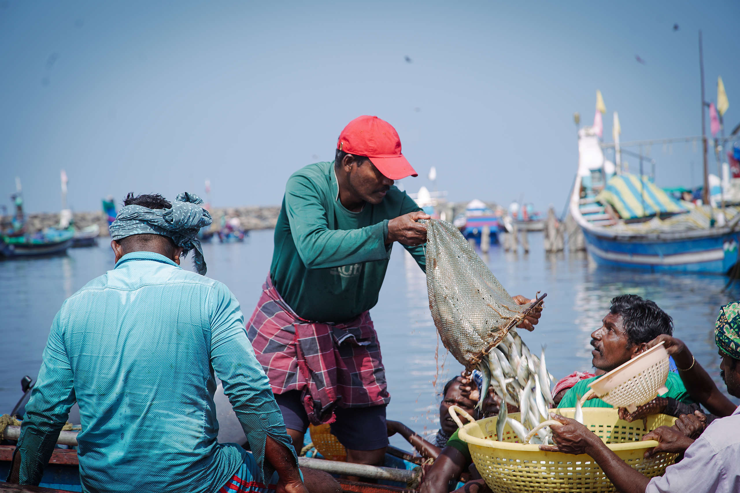 With hardly anything to catch, Indian fisherman takes on odd jobs, Inflation