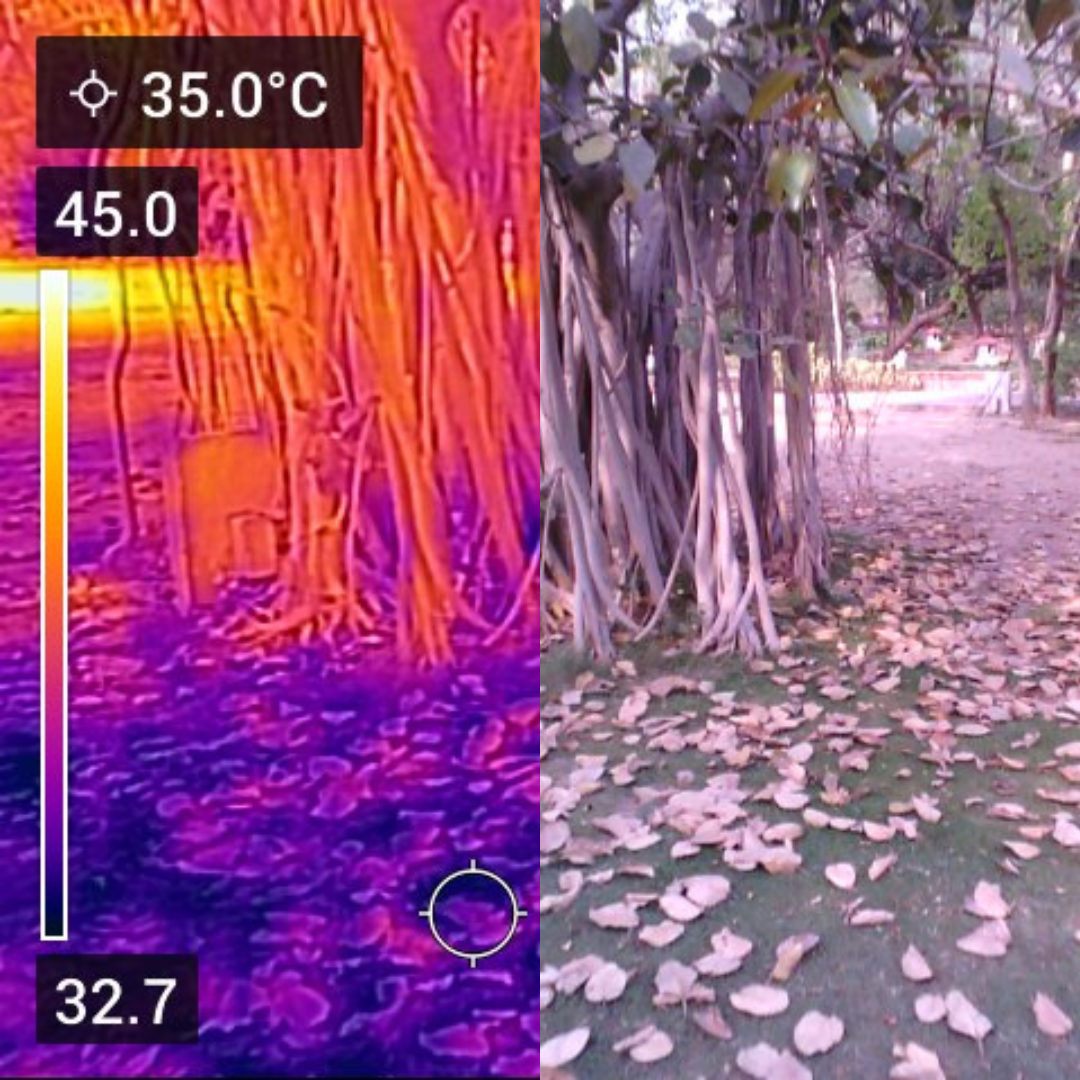 Delhi Parks 10°C Cooler, But 8 out of 10 parks Lack Water, Gates Shut in Heat