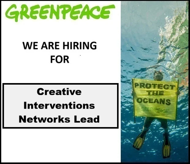 Creative Interventions Networks Lead