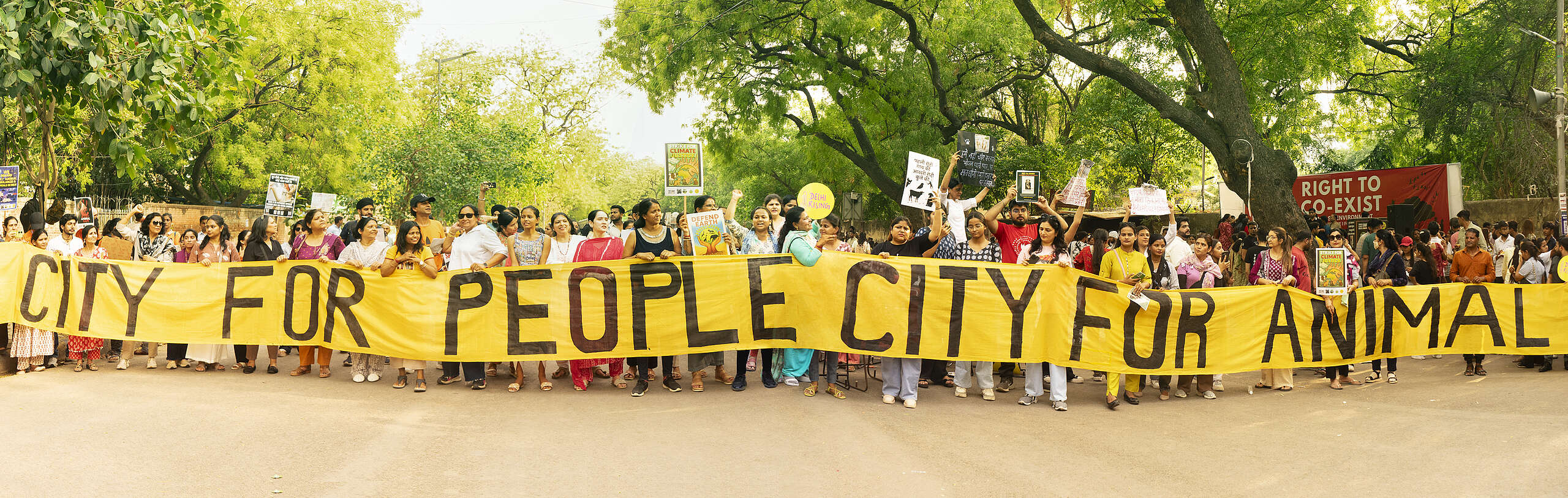 The right to peaceful protest is essential for a healthy democracy
