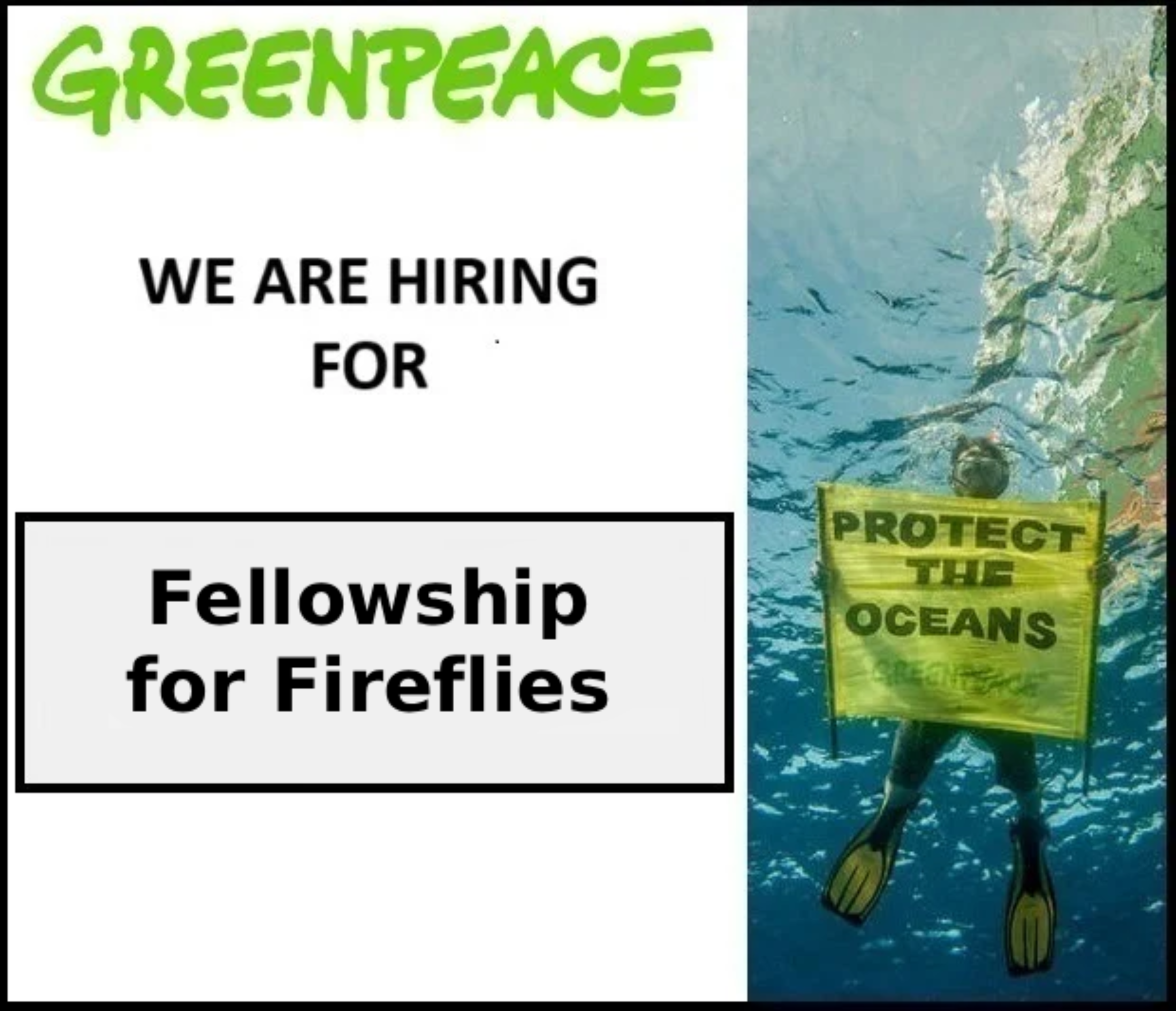 Fellowship for Fireflies