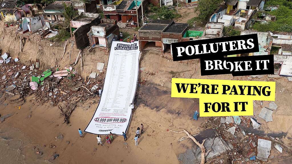 Make Polluters Pay