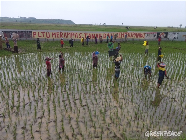 Inilah Potret Mereka yang Mempertahankan Hidup