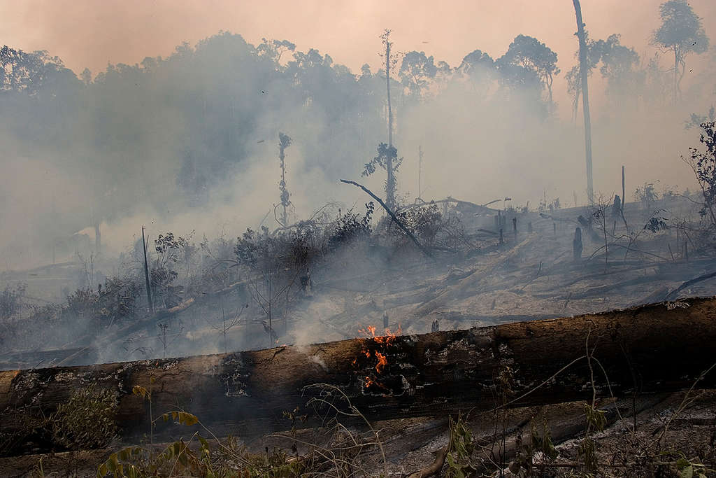 Forest Fires in Indonesia. © Vinai Dithajohn
