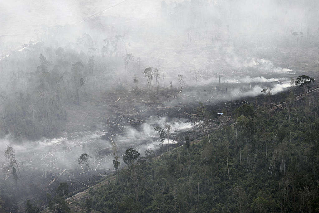 Forest Fires in Indonesia. © Vinai Dithajohn