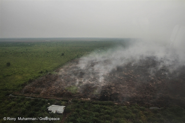 Mencegah dan Memadamkan Demi Hutan Tanpa Api