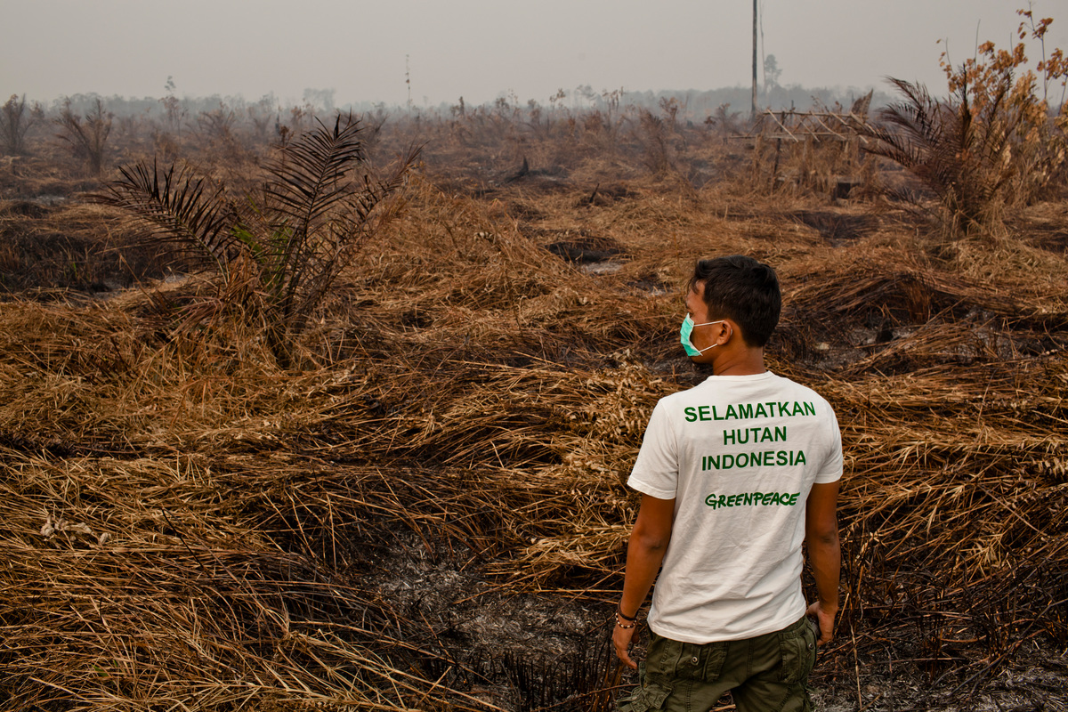 Mendokumentasikan Kebakaran Hutan di Sumatra. © Ulet Ifansasti