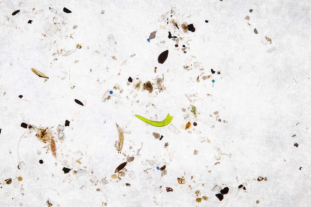 Plastic Waste Found in North Sea. © Will Rose