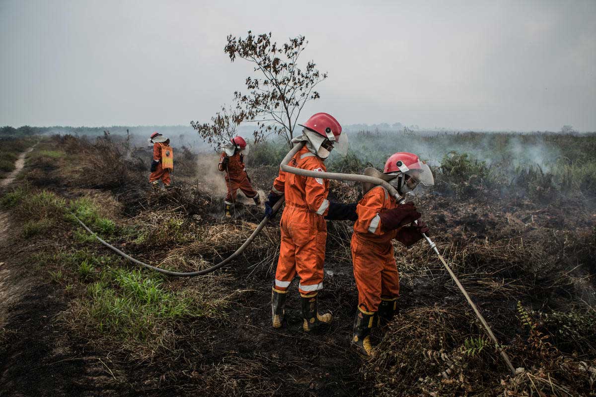 Tim Cegah Api di Kubu Raya, Kalimantan Barat © Rendra Hernawan / Greenpeace