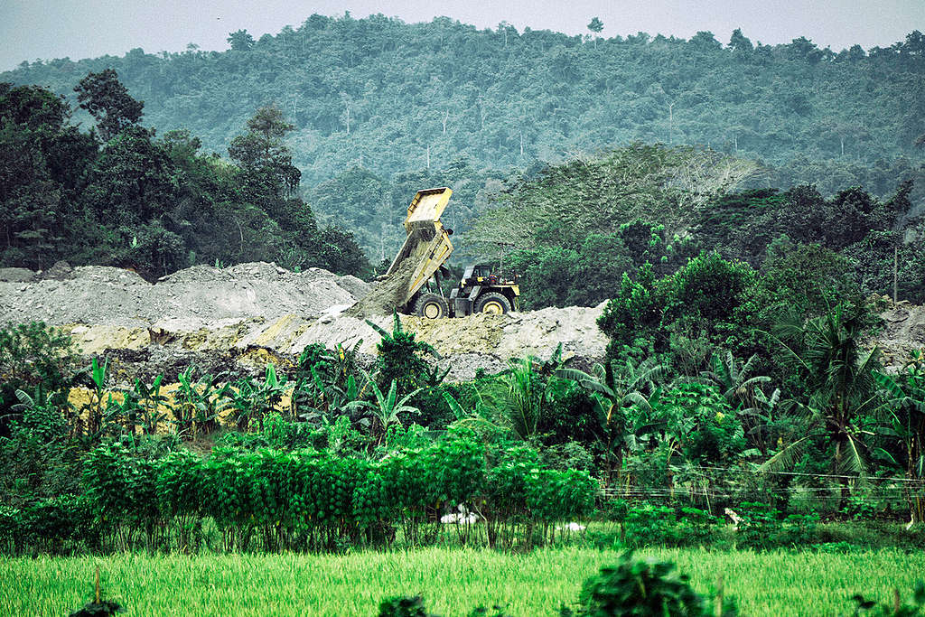Paddy Field in Kerta Buana Village in East Kalimantan. © Ardiles Rante