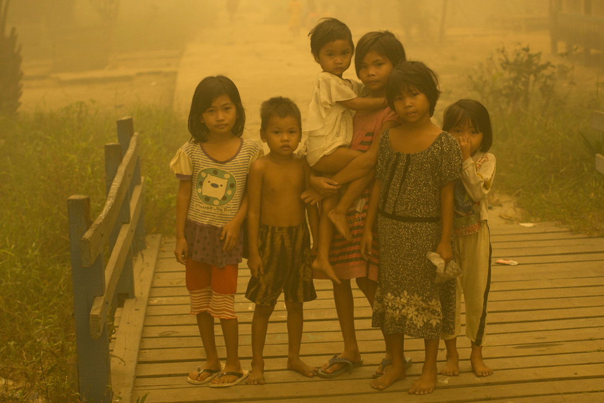 Haze in Central Kalimantan. © Ardiles Rante / Greenpeace