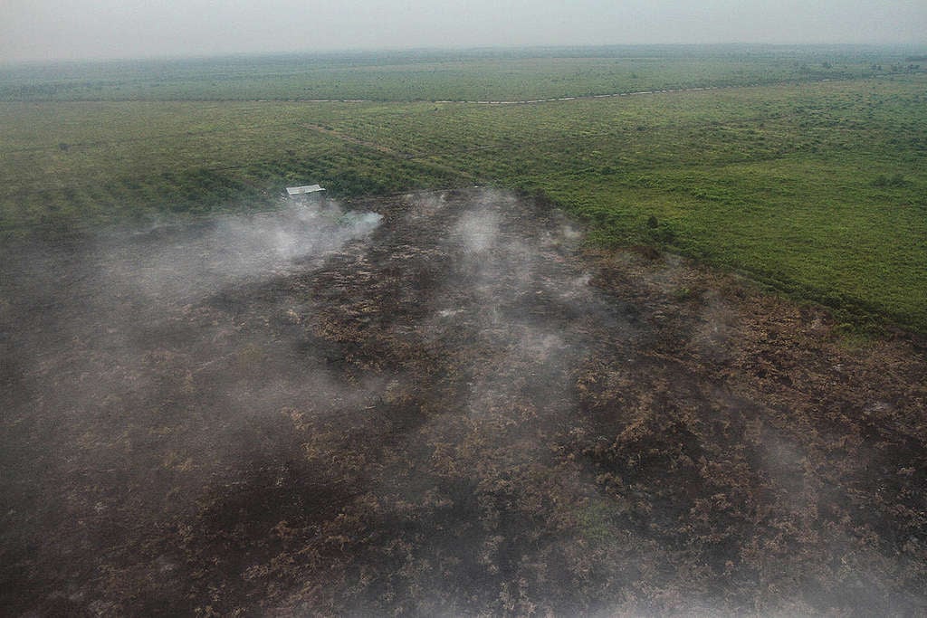 Forest Fires in Riau. © Greenpeace