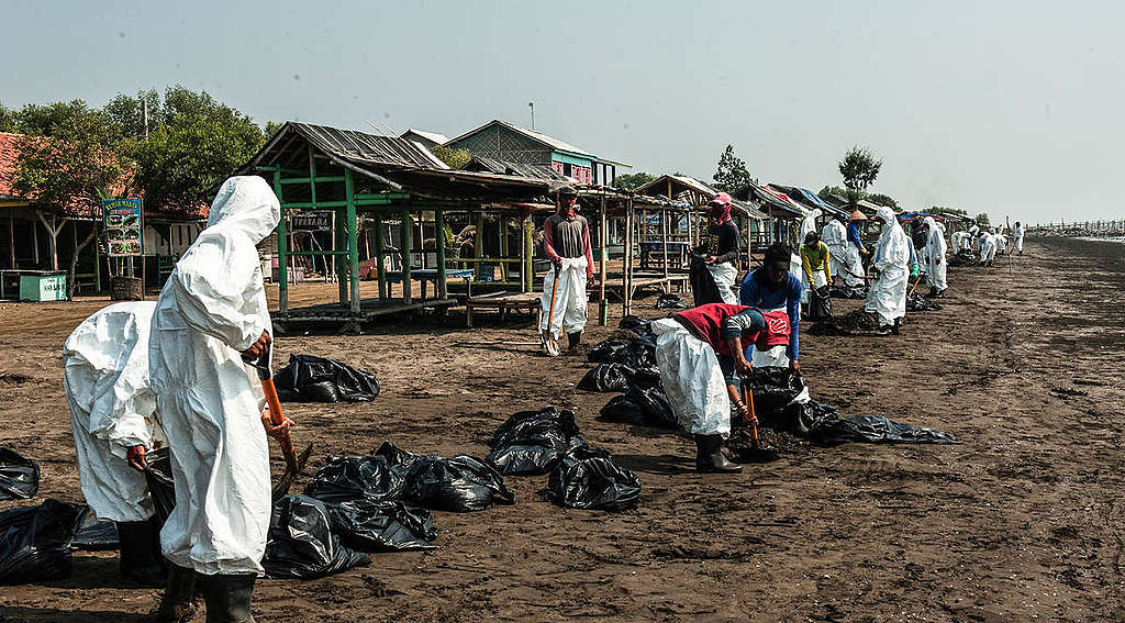 Tumpahan Minyak di Karawang, Jawa Barat. © Rezza Estily / Greenpeace