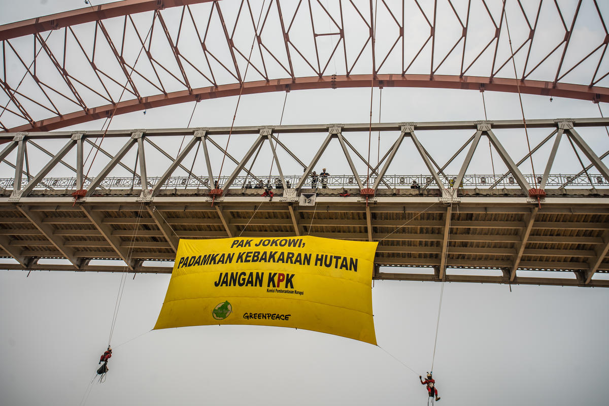 Banner at Kahayan Bridge in Central Kalimantan. © Jurnasyanto Sukarno / Greenpeace