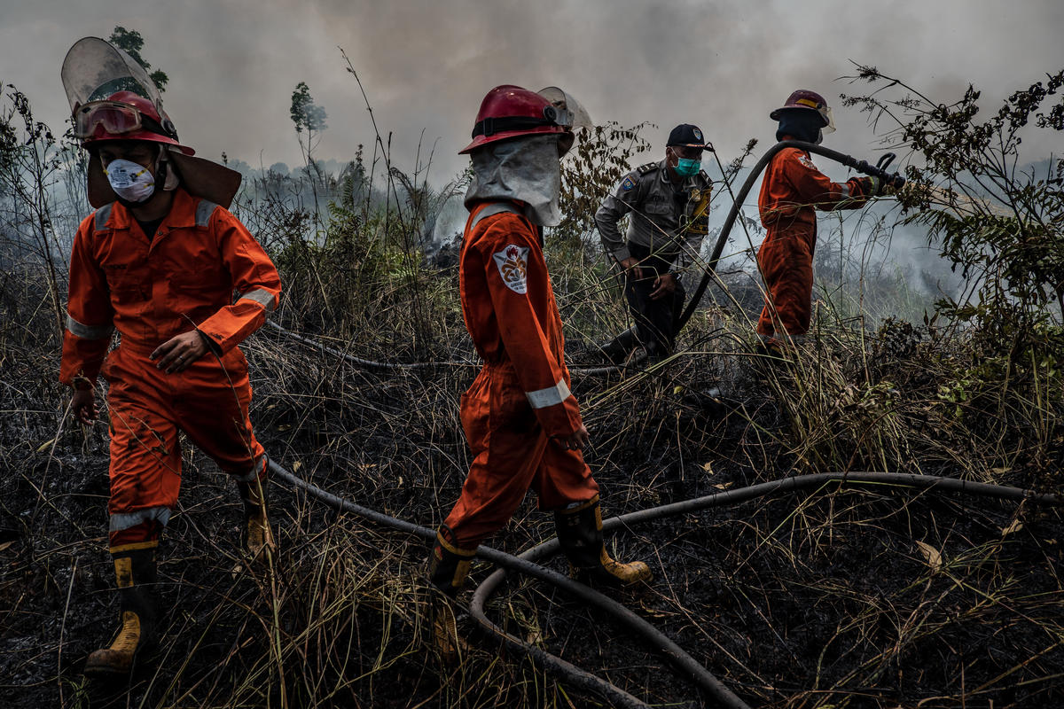 Forest Fires in Central Kalimantan. © Ulet Ifansasti / Greenpeace