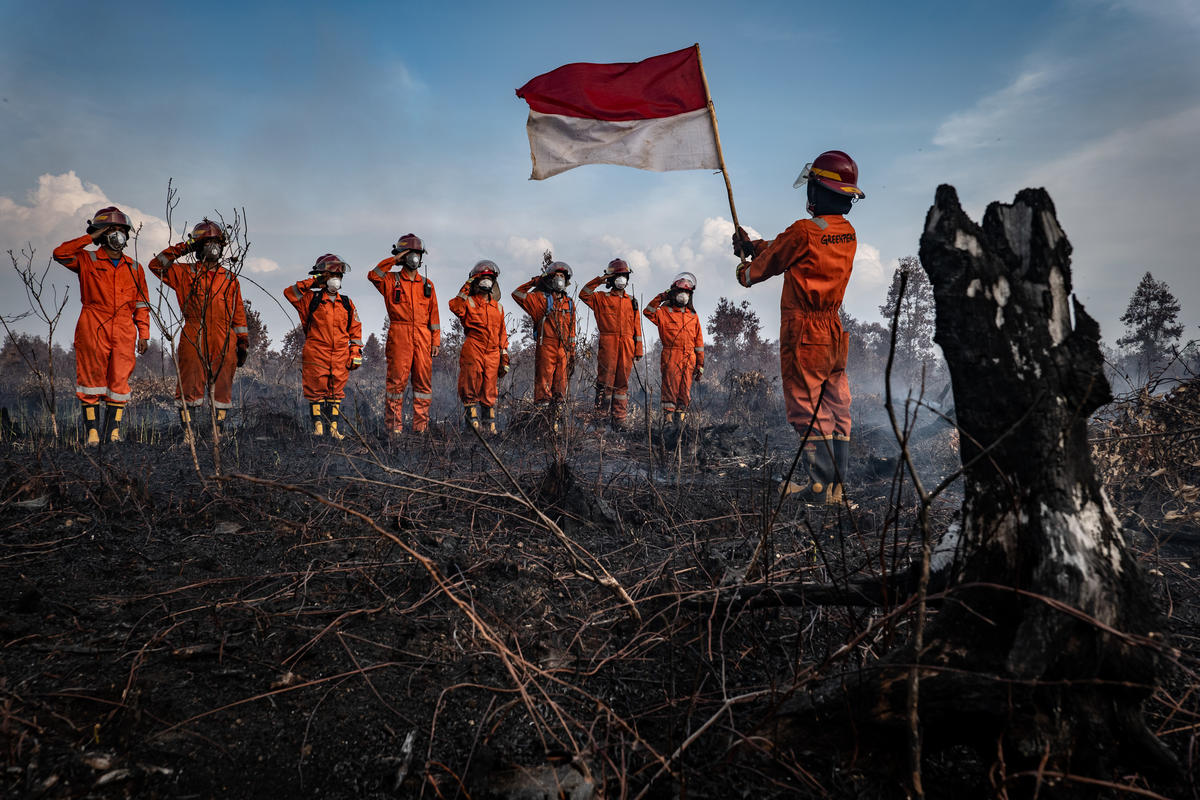 Forest Fires in Central Kalimantan. © Ulet Ifansasti / Greenpeace