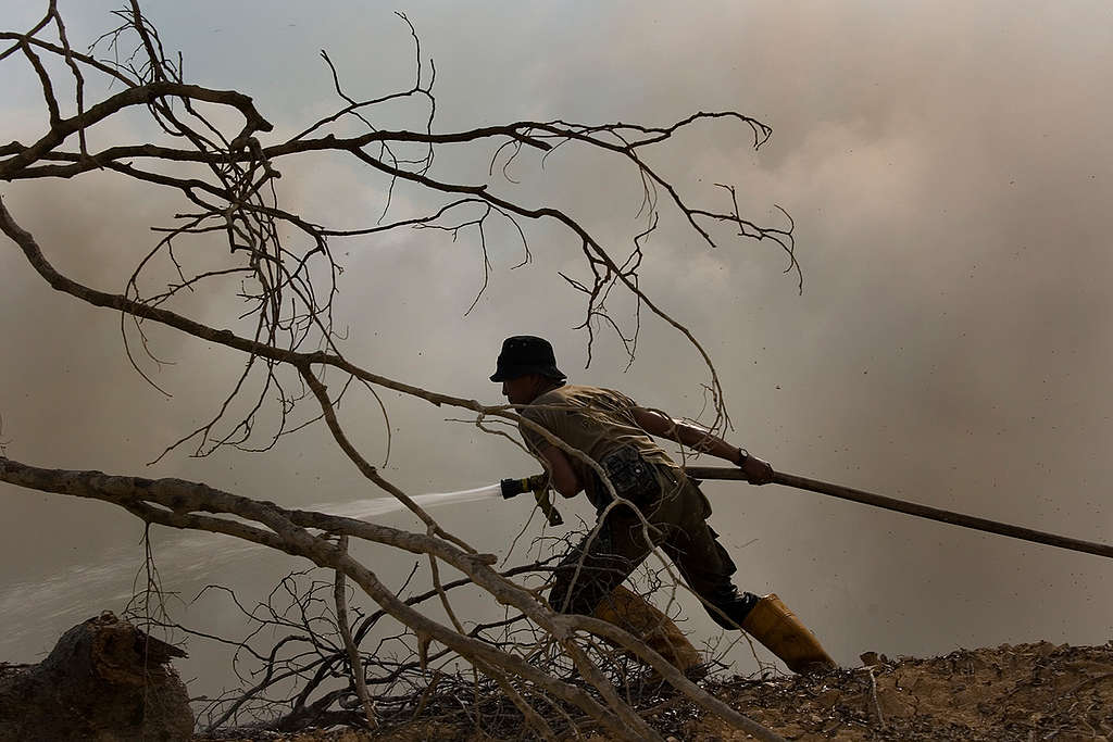 Forest Fires in Indonesia. © Greenpeace / Vinai Dithajohn