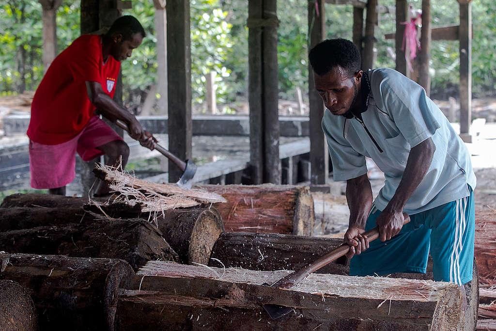 Papuans Peeling Sago Trees in Sungai Tohor. © Fully Syafi / Greenpeace Papuans Peeling Sago Trees in Sungai Tohor. © Fully Syafi / Greenpeace
