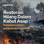 Riset Restorasi Gambut: Restorasi Hilang dalam Kabut Asap