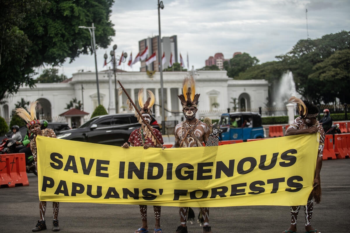 Dukung Suku Awyu, Masyarakat Sipil Dorong KLHK Tindak Lanjuti Keputusan Pencabutan Perizinan di Kawasan Hutan