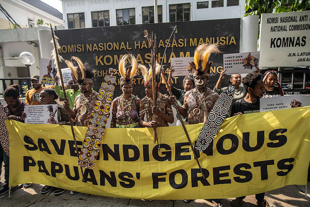 Awyu Tribe in State Administration Court, Jakarta. © Jurnasyanto Sukarno / Greenpeace