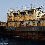 Crew from one of the vessels in the 'zombie' graveyard of rusting Chinese fishing vessels, 150 km off the coast of West Africa. When Greenpeace first arrived there were nine or ten ships but on the return three had left. The crews said they had gone fishing.This is the hidden story behind pirate fishing - the conditions of near-slavery imposed by ruthless fishing companies in the rush for quick money. The men on board aren't pirates - they're the victims, left to rot on broken-down trawlers, half a world away from their families. Human life is cheap, and profits take priority as the workers exist in terrible conditions often waiting for crew that never arrives. Some of them at have been at sea for two years, and that their trawler hasn't visited a port in eight.