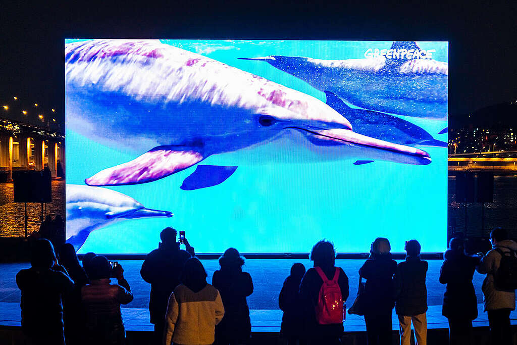 Public Screening on Ocean Protection in Seoul, Korea. © Greenpeace / Sungwoo Lee Public Screening on Ocean Protection in Seoul, Korea. © Greenpeace / Sungwoo Lee