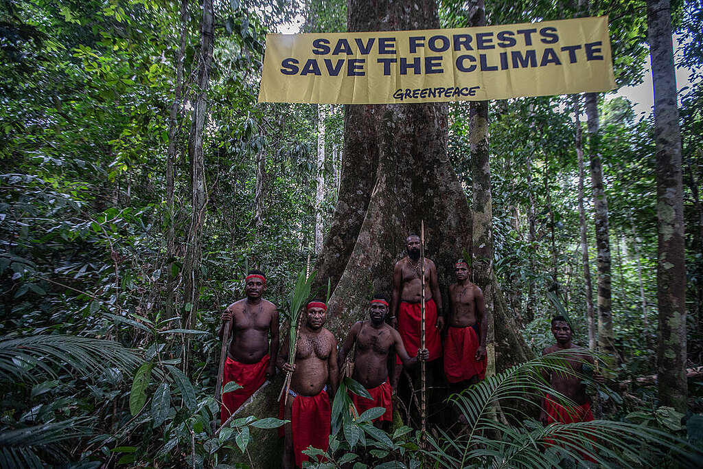 Forest Defender Camp in Papua. © Jurnasyanto Sukarno / Greenpeace