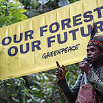 Forest Defender Camp in Papua. © Jurnasyanto Sukarno / Greenpeace