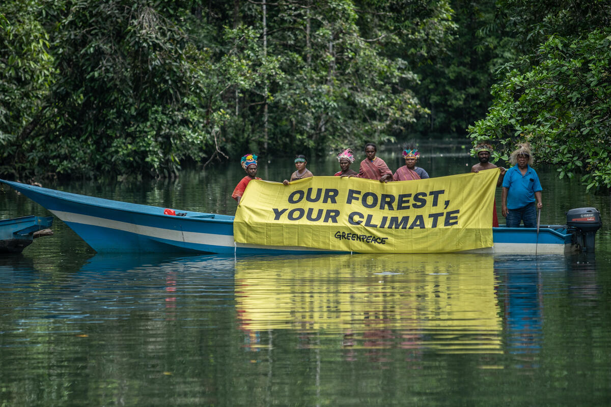 Save the Forest in Klaogin River, Seremuk. © Jurnasyanto Sukarno / Greenpeace Save the Forest in Klaogin River, Seremuk. © Jurnasyanto Sukarno / Greenpeace