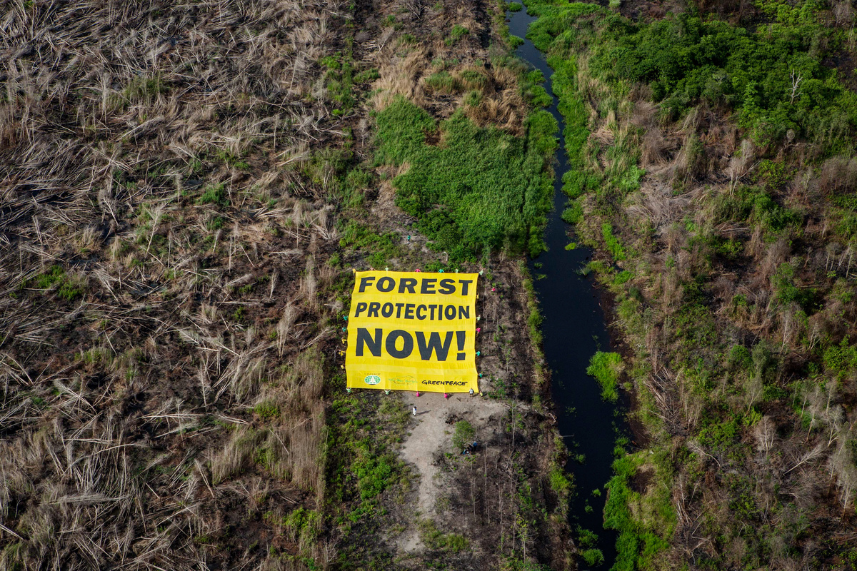 Damming Activity in Central Kalimantan. © Ulet  Ifansasti / Greenpeace