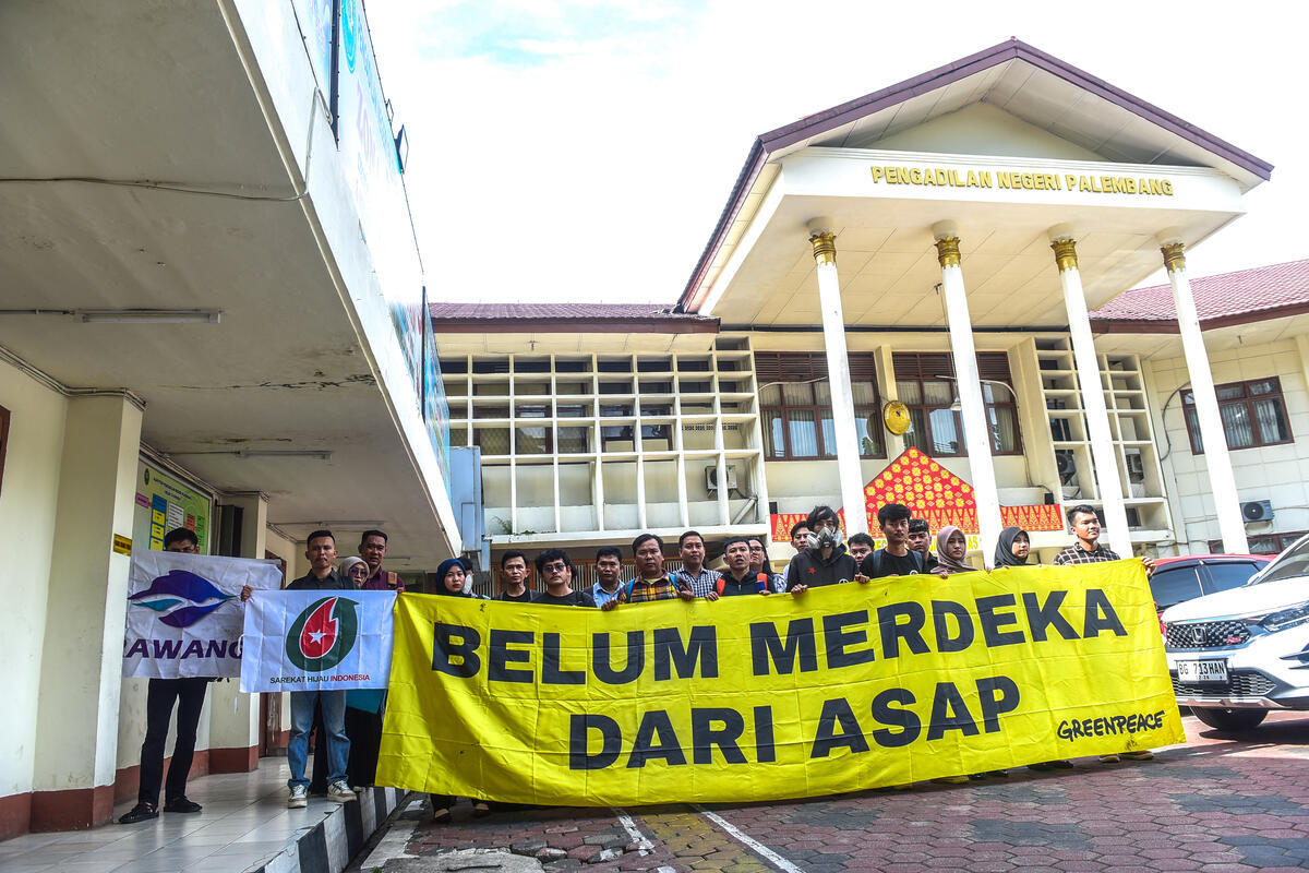 Haze Lawsuit in Palembang District Court, South Sumatra. © Mushaful Imam / Greenpeace Haze Lawsuit in Palembang District Court, South Sumatra. © Mushaful Imam / Greenpeace