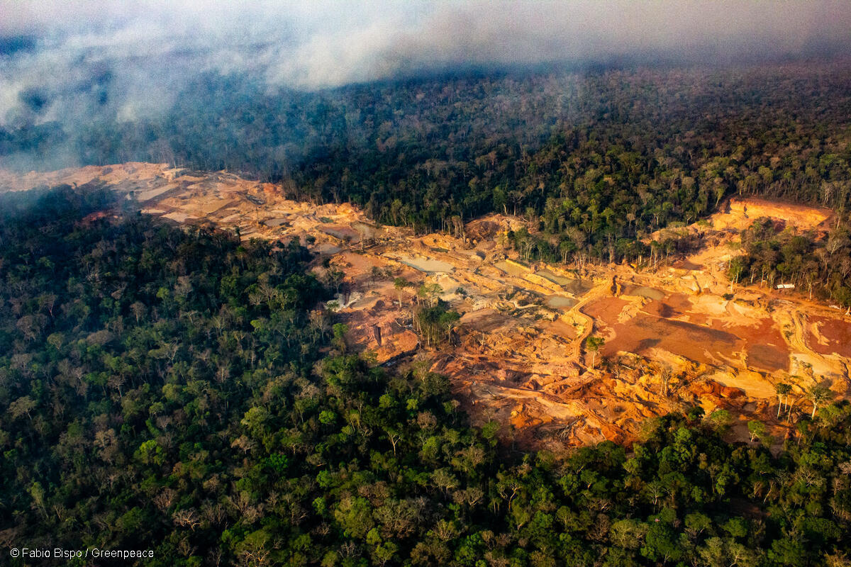 Lindungi Hutan Amazon