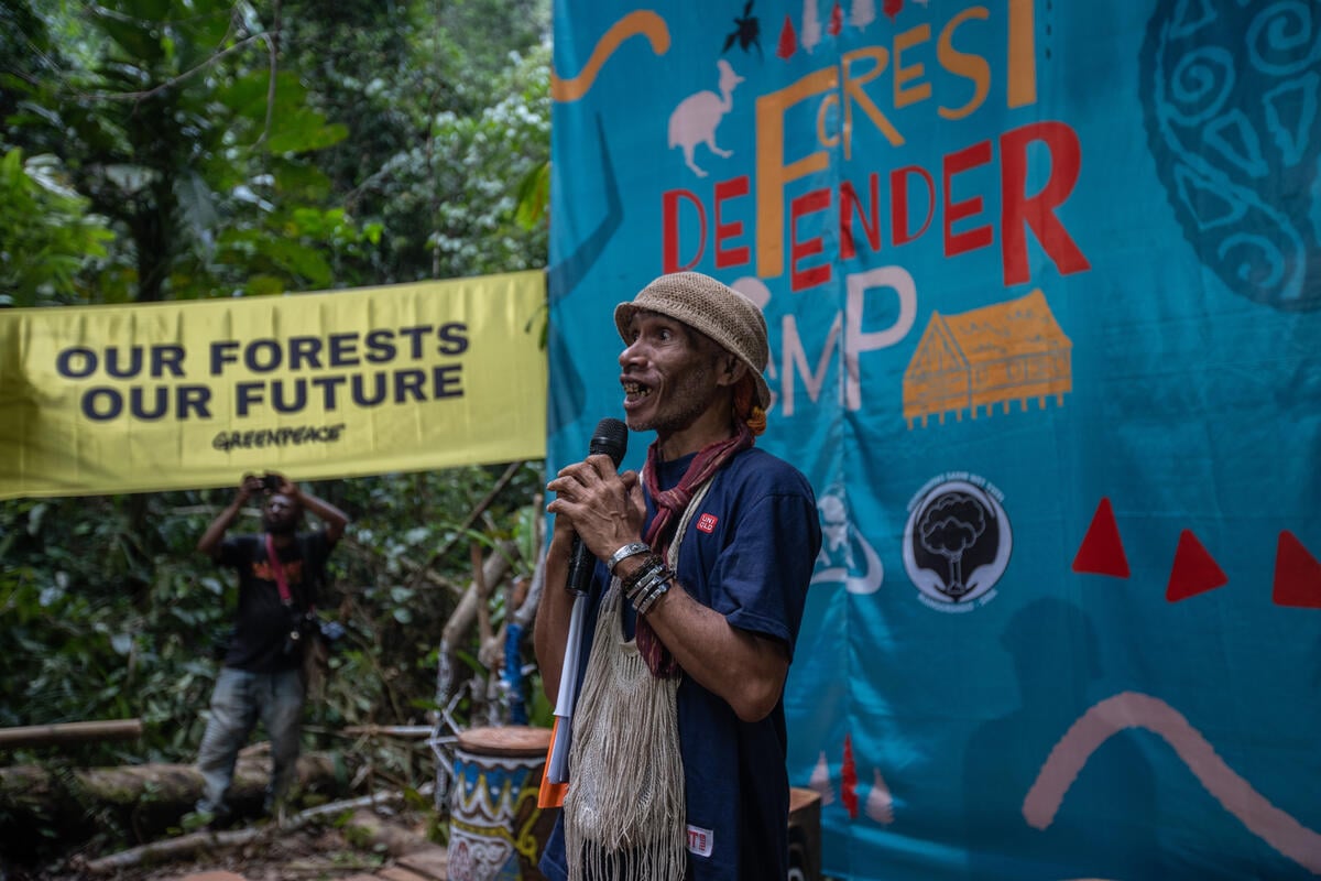 Forest Defender Camp in Papua. © Jurnasyanto Sukarno / Greenpeace