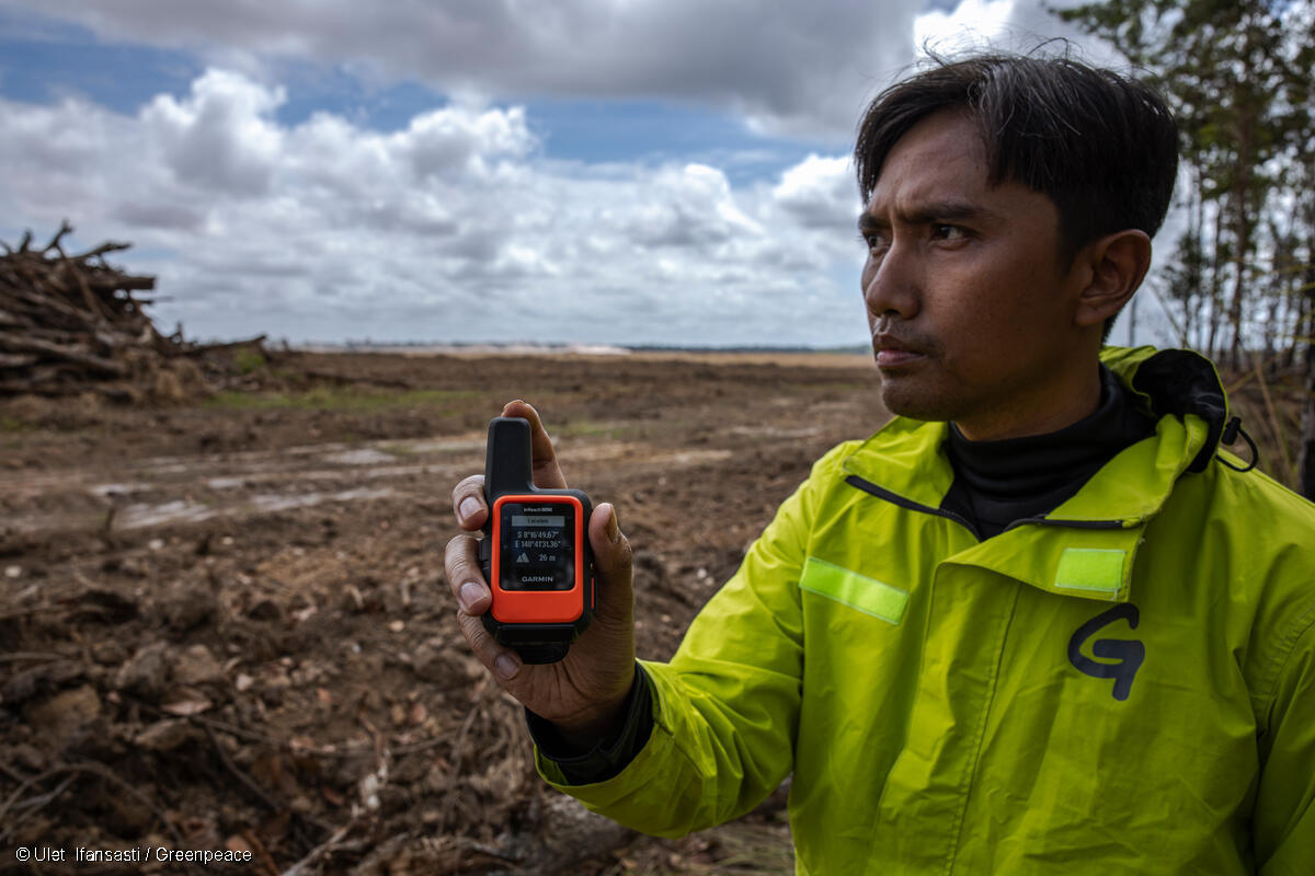 COP30, Greenpeace Ikut Tolak Belém 4x Pledge untuk Bioenergi