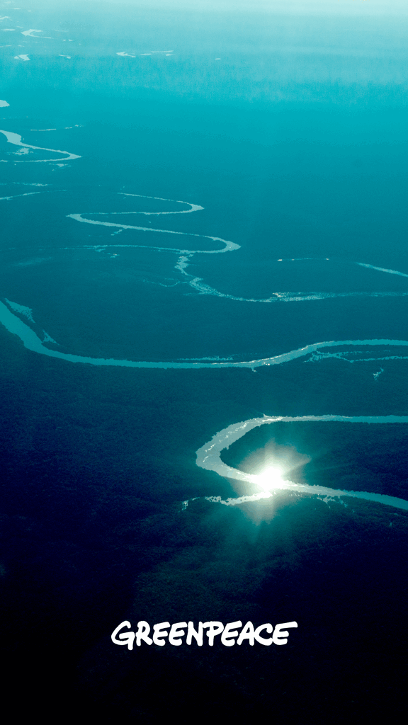 amazon aerial wallpaper greenpeace amazon aerial wallpaper greenpeace