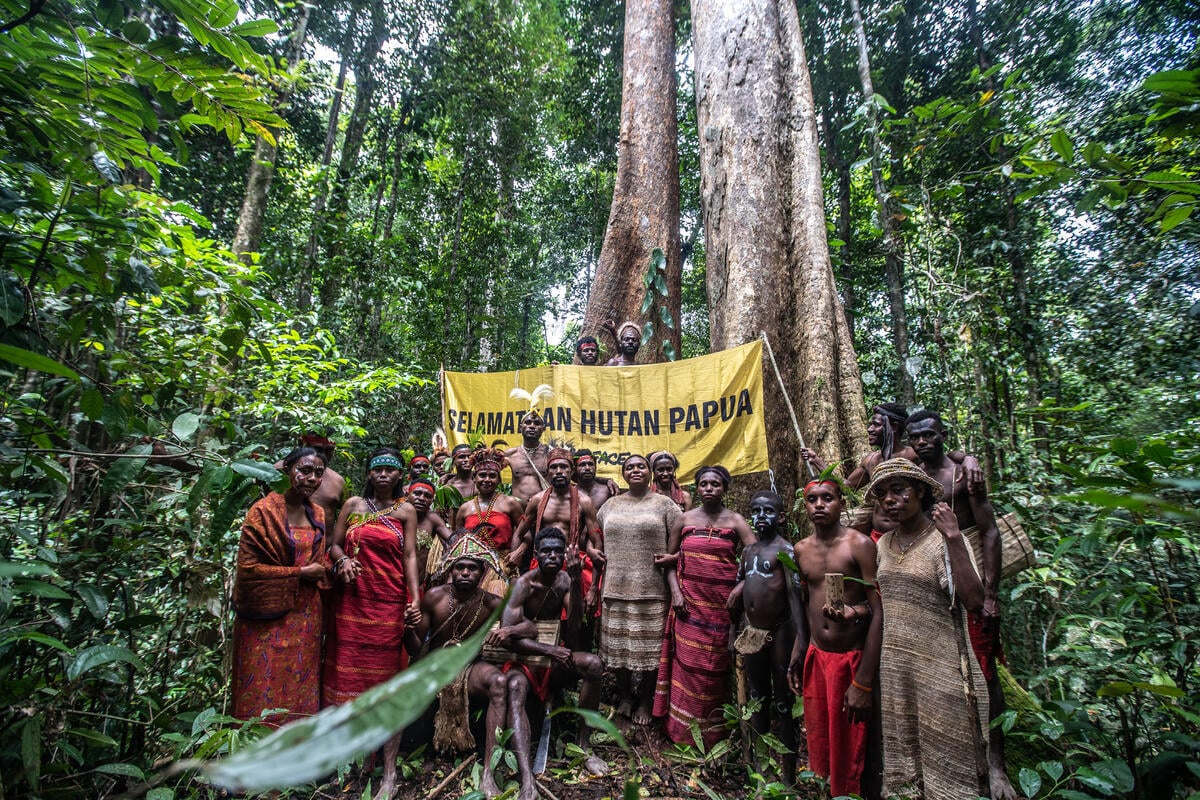 The 2nd Forest Defender Camp 2025 in Papua Day 4. © Jurnasyanto Sukarno / Greenpeace